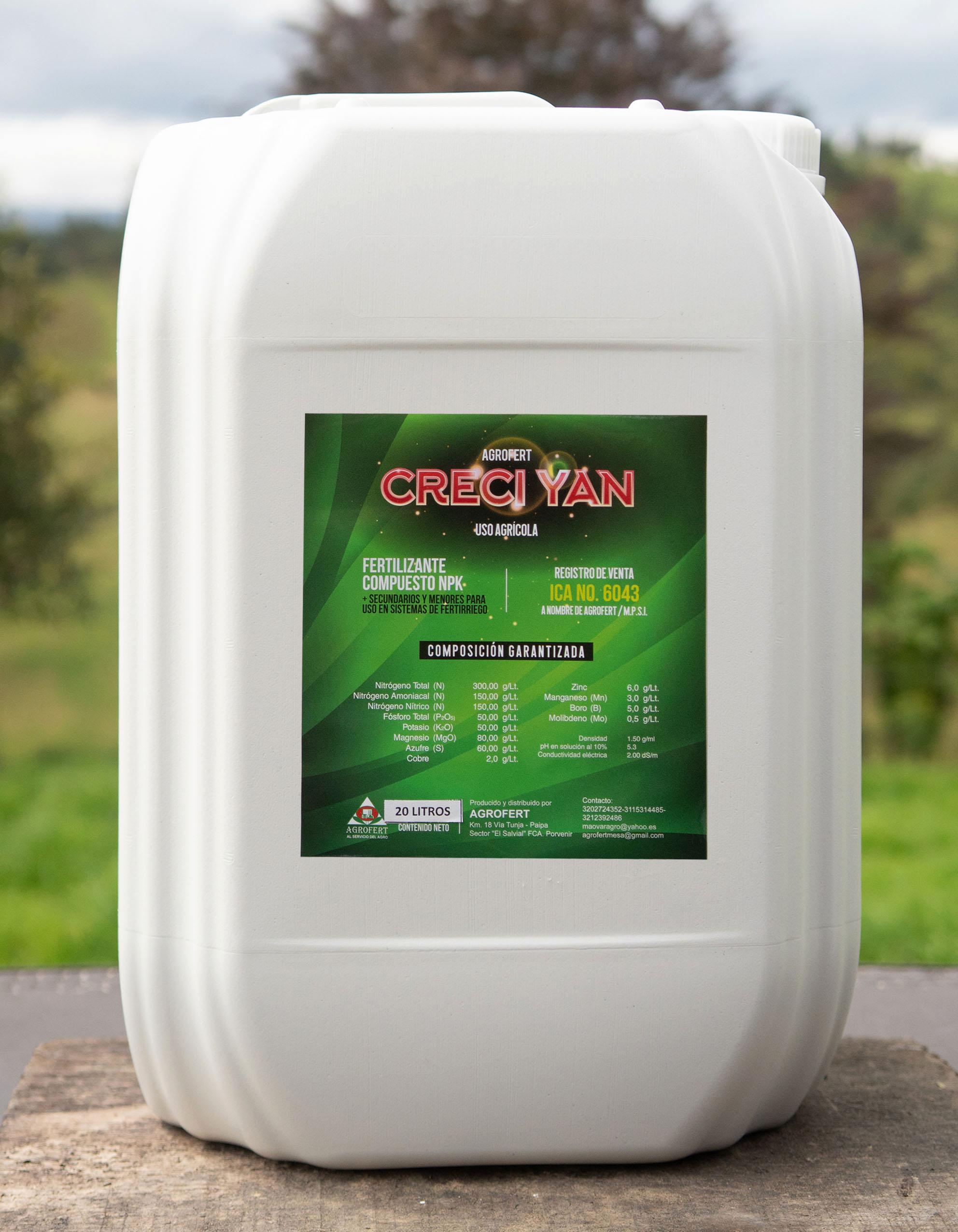 Creci Yan - Imagen 5